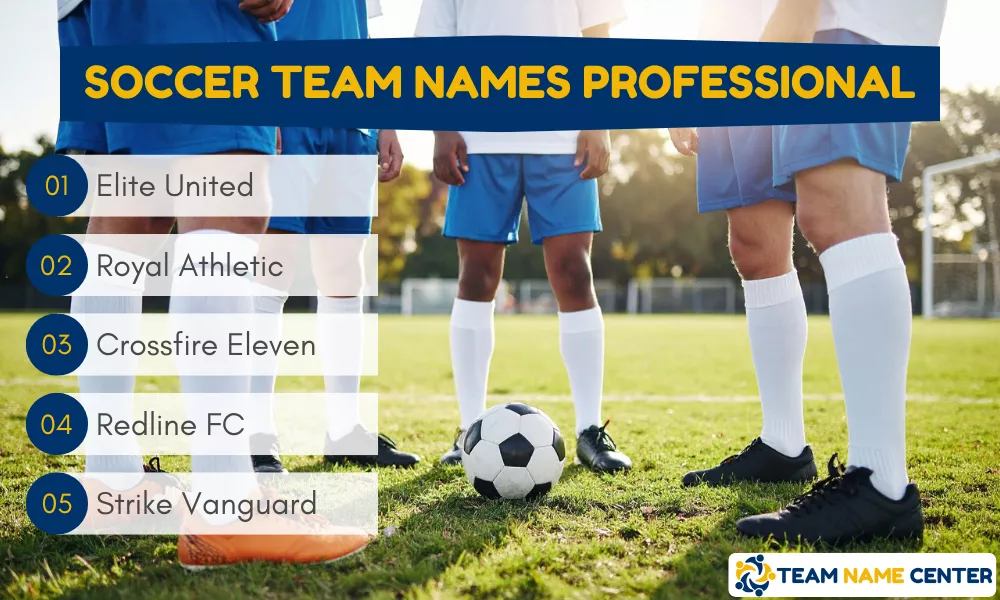 Soccer Team Names Professional