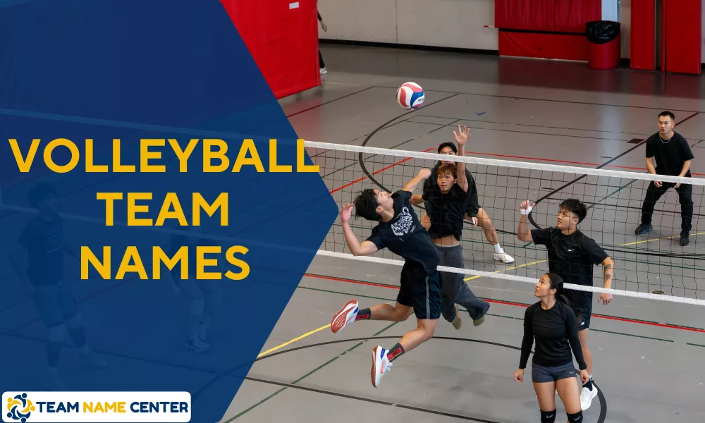 Volleyball Team Names